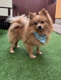 Cleverer Alan sucht Neuanfang - Chemnitz