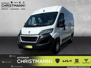 Peugeot Boxer, 2.2 Kasten Hochraum 335 L2H2 140 EU6d, Jahr 2024 - Grünstadt