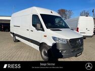 Mercedes Sprinter, 317 KA Maxi MBUX °, Jahr 2022 - Ravensburg