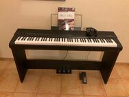 Stagepiano Thomann DP28 Plus Bundle - Rheinbrohl