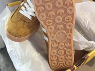 Adidas Gucci Gazelle 42 NEU - Lünen