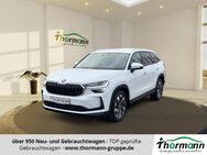 Skoda Kodiaq, 2.0 TDI Selection W FLA STH, Jahr 2024 - Stendal (Hansestadt)