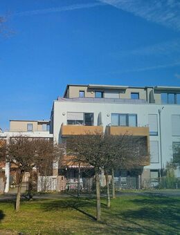 ** Einziehen und wohlfühlen - Komfortables Wohnen in ruhiger Umgebung mit Terrasse im Erdgeschoss in Bonn-Tannenbusch ** - Bonn