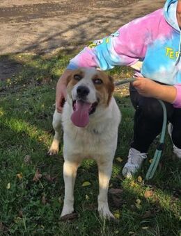 Stets freundlich + fröhlich = FRIX ♥️ - München