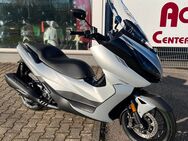 Neufahrzeug 350ccm Maxi Scooter Zontes 350E 350er Groß Roller in Silber - Obersulm