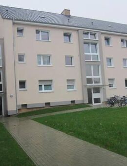 Nette Nachbarn gesucht: weitläufige 4-Zimmer-Wohnung frisch saniert - Schwarzenbek