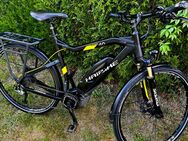 Haibike Sduro 4.0 Trekking - Neiße-Malxetal