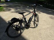 Pegasus 28'' E-Bike 58 cm Premio E8F Sport 2018 Pedelec < 2000 km - Berlin