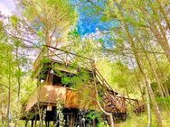 Exklusives Lodge mit Nähe zum Meer auf der Sonneninsel Mallorca - Bürdenbach