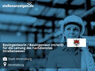 Bauingenieurin / Bauingenieur (m/w/d) für die Leitung des Fachdienstes Straßenwesen - Ahrensburg