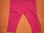 NEU * Niedlich * Baby * GIRL * Glitzer Volant Sweat  Shirt * Sweater * Schlupf * Hose * Legging "Marc Jacobs" Gr. 62- 68 * pink * gold * - Riedlingen