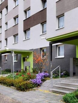 Viel Platz in umgebauter 2-Raumwohnung - Erfurt