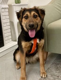 ALMA möchte eine Familie finden - Bad Bevensen