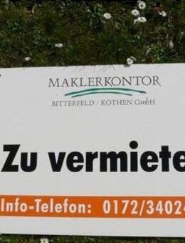 1-Raum-Wohnung im Herzen von Zscherndorf - Sandersdorf Sandersdorf