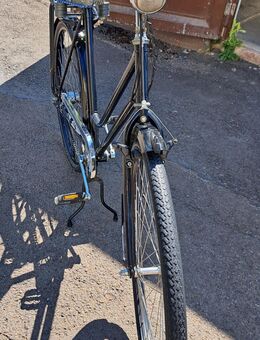 Retro Damen-Fahrrad 28 Zoll - Minden (Nordrhein-Westfalen)