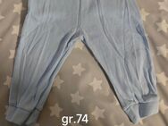 Baby Hosen Größe 74 bis 80 - Schellerten