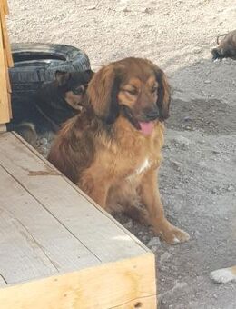 Uli-freundlich und zugänglich - Haan