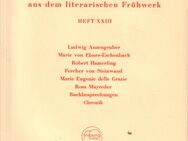 RUDOLF STEINER - VERÖFFENTLICHUNGEN AUS DEM LITERARISCHEN FRÜHWERK Heft XXIII - Zeuthen