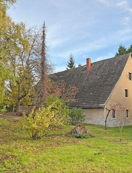 Idyllisches Grundstück mit eigenem Quellteich, Baumbestand und stark sanierungsbedürftigem Wohnhaus sowie großer Sche... - Oschatz