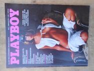 Playboy 1978 + 1985 - - Allgäu - TOM - München Maxvorstadt