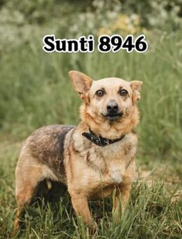 für kleine Siunty sicheren Platz - Augsburg