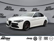 Alfa Romeo Giulia, 2.0 Turbo 16V Tributo Italiano, Jahr 2024 - Herford (Hansestadt)