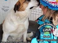 LINA - möche dir ihre Liebe geben - Waakirchen