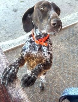 Amira freundlich und zugänglich - Haan