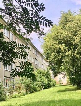 Gemütliche 2-Zi.-Whg. mit Wohnküche - Wuppertal