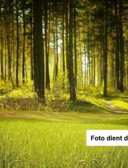 Mischwald mit klasse Zufahrt - Kallmünz