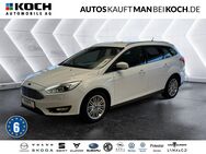 Ford Focus, 1.5 EcoBoost Titanium Parklenk, Jahr 2018 - Ludwigsfelde