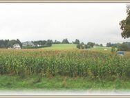 ...1000 m2 Freizeitgrundstück !!! (zur Geldanlage oder evtl.späteren Bebauung) - Radevormwald (Stadt auf der Höhe)