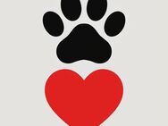 Überraschung für meine Freundin – Hilfe für die OP ihres geliebten Tieres 🐾❤️ - München