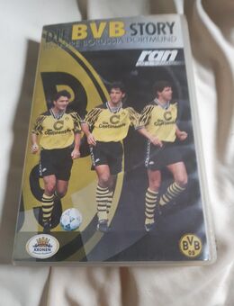 BVB Fanartikel - Dortmund Wambel