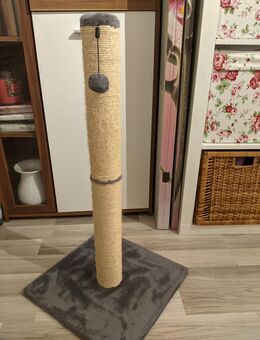 Kratzbaum - Winnenden