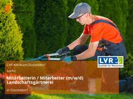 Mitarbeiterin / Mitarbeiter (m/w/d) Landschaftsgärtnerei - Düsseldorf