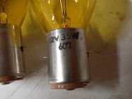 Gelbliche Birne 12 Volt 35 Watt - Büdingen