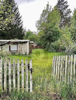 FREIZEIT-PARADIES AM MAXSEE - Müncheberg