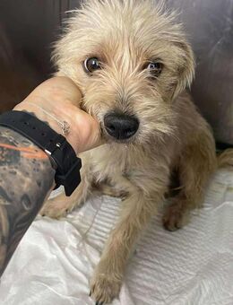 B718 sucht ihr Glück🍀 - Neuberg