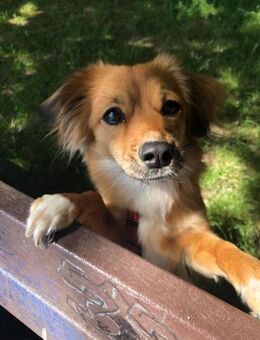 Mika sucht einen Ort zum ankommen - Celle