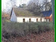*** Haus am Wald - fast Alleinlage *** - Wiesenburg