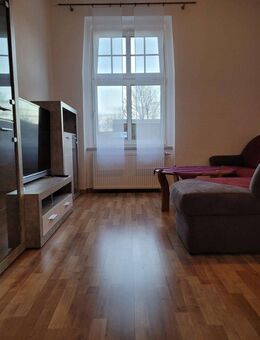 Sonnige voll möbilierte Wohnung mit EBK im Hochparterre - Plauen