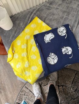 EKH Katze zu verkaufen - Aschersleben