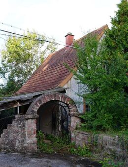 Großes Grundstück - ein Traum im Grünen - Niederschlettenbach