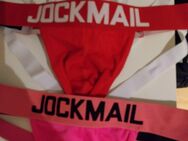 3 Jockstraps - Delmenhorst