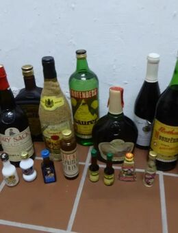 Spirituosen Alkohol Boonekamp Remy Martin Sherry Magenbitter Eiswein Likör Weizenkorn mit Zitrone Wein 19 Flaschen - Köln