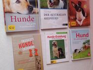 Verschiedene Hunde Bücher - Landau (Pfalz)