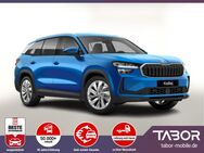 Skoda Kodiaq, TDI 150 Selec NeuesMod EHK, Jahr 2024 - Kehl