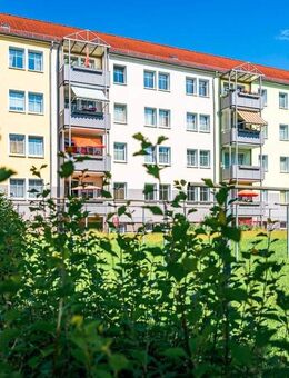 Wohnen in toll sanierter 3-Raum-Wohnung - Zwickau