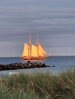 Die Ostsee ist nicht weit... - Damp